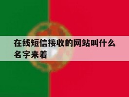 在线短信接收的网站叫什么名字来着