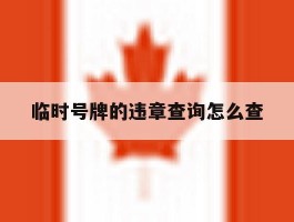 临时号牌的违章查询怎么查