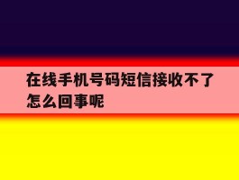 在线手机号码短信接收不了怎么回事呢
