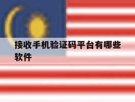 接收手机验证码平台有哪些软件