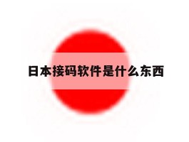 日本接码软件是什么东西