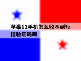 苹果11手机怎么收不到短信验证码呢
