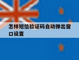 怎样短信验证码自动弹出窗口设置