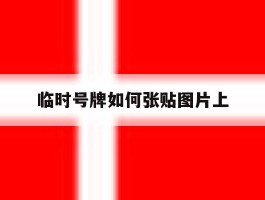 临时号牌如何张贴图片上的简单介绍