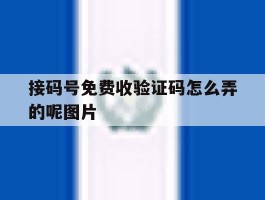 接码号免费收验证码怎么弄的呢图片