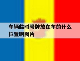 车辆临时号牌放在车的什么位置啊图片