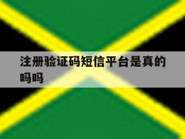 注册验证码短信平台是真的吗吗