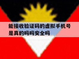 包含能接收验证码的虚拟手机号是真的吗吗安全吗的词条