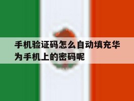 关于手机验证码怎么自动填充华为手机上的密码呢的信息