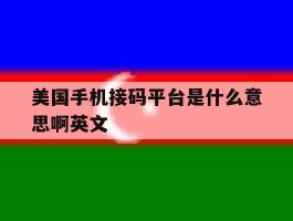美国手机接码平台是什么意思啊英文