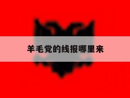 羊毛党的线报哪里来