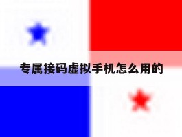 专属接码虚拟手机怎么用的