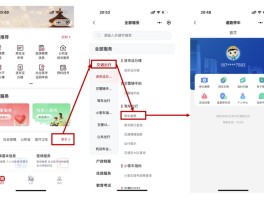 临时号牌办理进京证怎么办理手续流程视频讲解的简单介绍