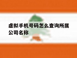 虚拟手机号码怎么查询所属公司名称