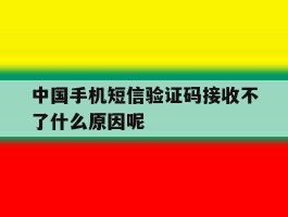 中国手机短信验证码接收不了什么原因呢