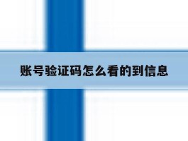 账号验证码怎么看的到信息