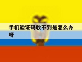 手机验证码收不到是怎么办呀