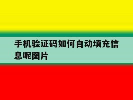 手机验证码如何自动填充信息呢图片
