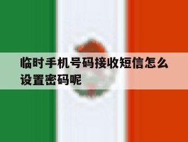 临时手机号码接收短信怎么设置密码呢