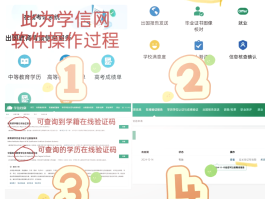 手机号和验证码接收平台是什么软件