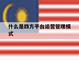 什么是四方平台运营管理模式