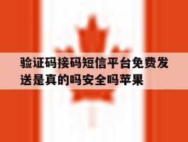 验证码接码短信平台免费发送是真的吗安全吗苹果