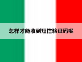 怎样才能收到短信验证码呢