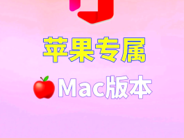 美国电话接码用什么软件打开的呢