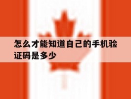 怎么才能知道自己的手机验证码是多少