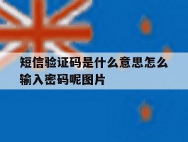 关于短信验证码是什么意思怎么输入密码呢图片的信息