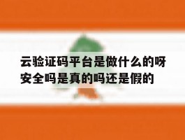 云验证码平台是做什么的呀安全吗是真的吗还是假的的简单介绍