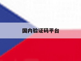 国内验证码平台