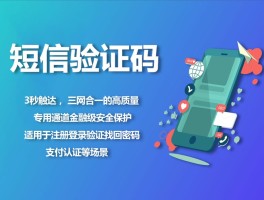 短信验证码如何显示出来