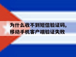 包含为什么收不到短信验证码,移动手机客户端验证失败的词条