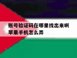 账号验证码在哪里找出来啊苹果手机怎么弄