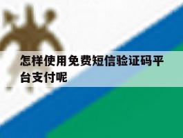 怎样使用免费短信验证码平台支付呢