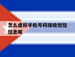 怎么虚拟手机号码接收短信信息呢