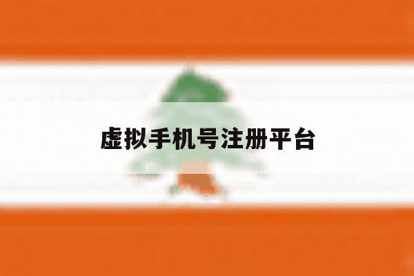 虚拟手机号注册平台