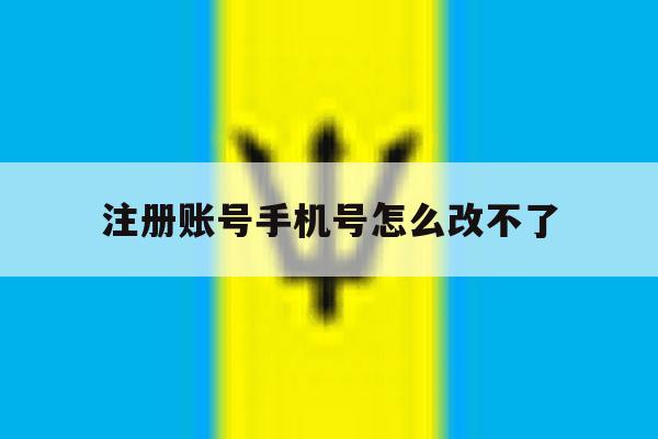 注册账号手机号怎么改不了
