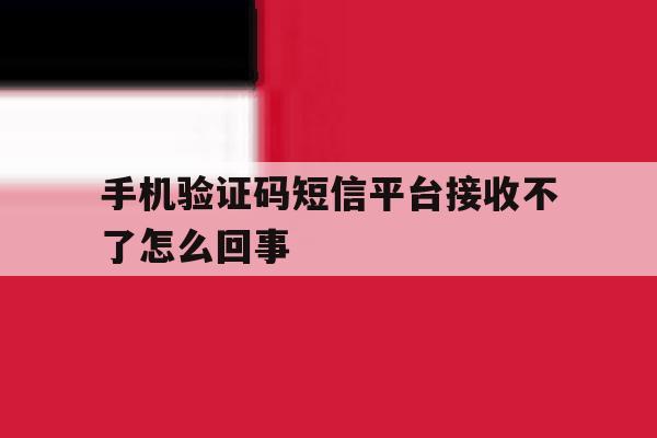 手机验证码短信平台接收不了怎么回事 手机验证码短信平台接收不了怎么回事