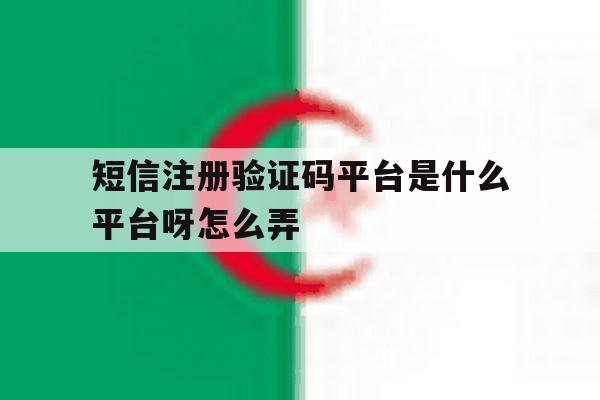 短信注册验证码平台是什么平台呀怎么弄