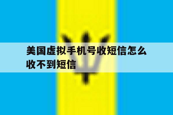 美国虚拟手机号收短信怎么收不到短信 美国虚拟手机号收短信怎么收不到短信
