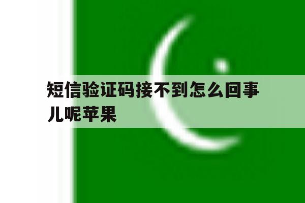 短信验证码接不到怎么回事儿呢苹果 短信验证码接不到怎么回事儿呢苹果