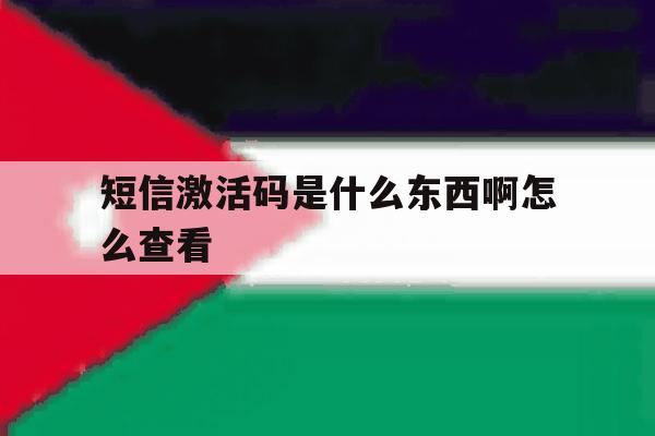短信激活码是什么东西啊怎么查看的简单介绍 短信激活码是什么东西啊怎么查看的简单介绍