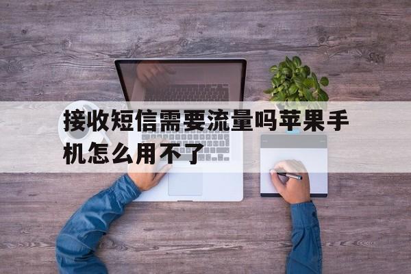 接收短信需要流量吗苹果手机怎么用不了 接收短信需要流量吗苹果手机怎么用不了