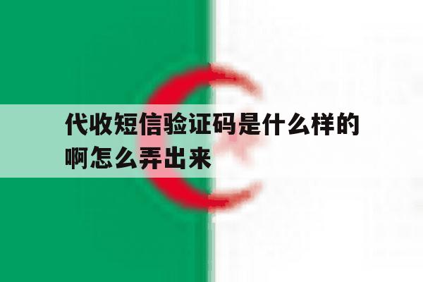 代收短信验证码是什么样的啊怎么弄出来 代收短信验证码是什么样的啊怎么弄出来