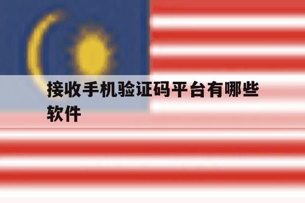 接收手机验证码平台有哪些软件 接收手机验证码平台有哪些软件