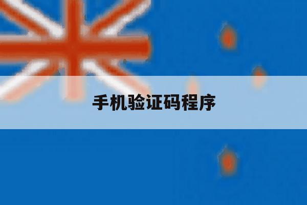 手机验证码程序 手机验证码程序