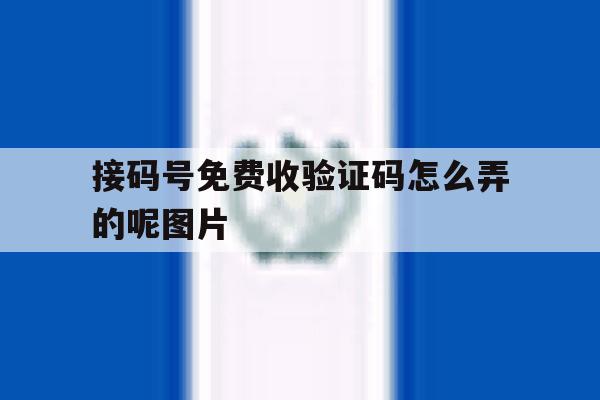 接码号免费收验证码怎么弄的呢图片 接码号免费收验证码怎么弄的呢图片