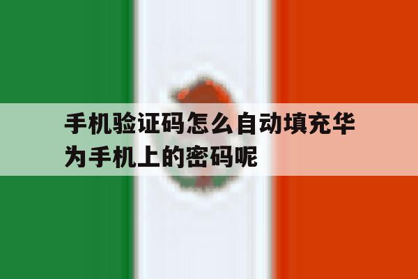 关于手机验证码怎么自动填充华为手机上的密码呢的信息 关于手机验证码怎么自动填充华为手机上的密码呢的信息